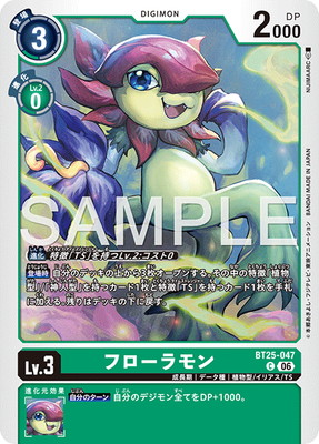 BT25-047 �ե������� C