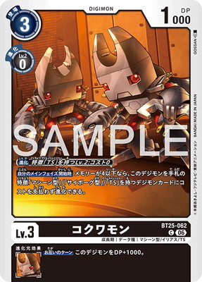 BT25-062 �������� C