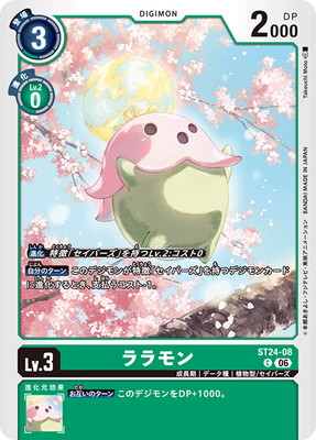 ST24-08 ����� C