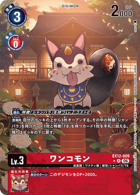 �ڥѥ����EX12-009 ��󥳥�� R��EX-12BOX������ŵ�ѥå���