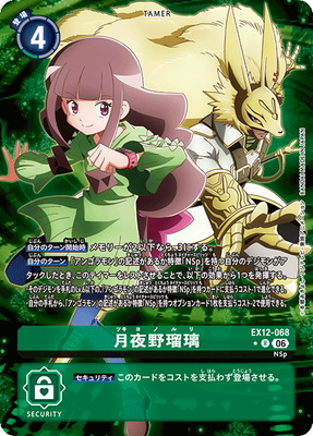 �ڥѥ����EX12-068 ���������� R