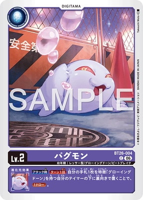 BT26-004 �ѥ���� C