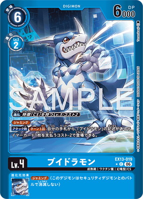 ��LM���͡�EX13-019 �֥��ɥ��� C