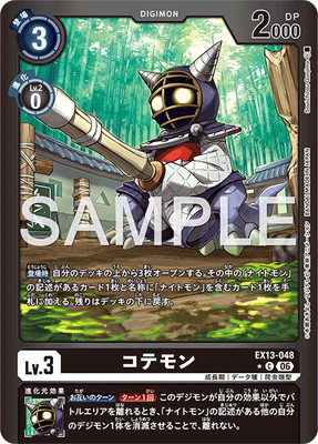 ��LM���͡�EX13-048 ���ƥ�� C