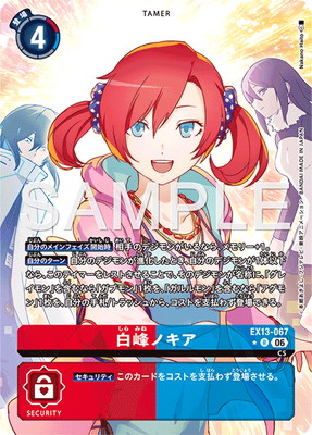 �ڥѥ����EX13-067 �����Υ��� R