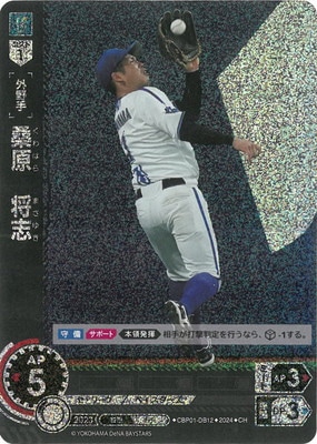 ��CH��CBP01-DB12 ����������