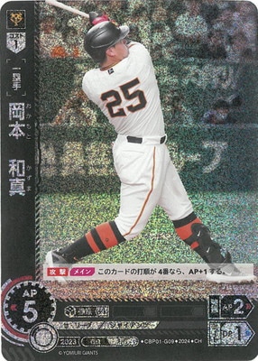 ��CH��CBP01-G09 ���ܡ��¿�