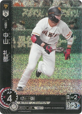 ��CH��CBP01-G10 �滳������