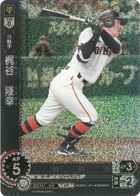 ��CH��CBP01-G11 ��ë��δ��