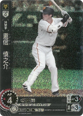 ��CH��CBP01-G12 �ſ�����Ƿ��