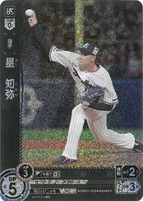 ��CH��CBP01-S09 ��������