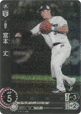 ��CH��CBP01-S10 ���ܡ���