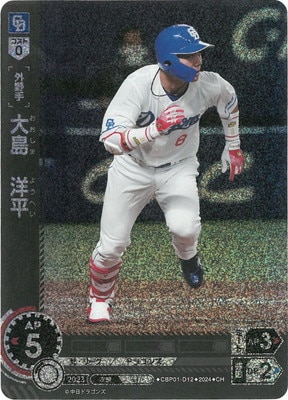 ��CH��CBP01-D12 ���硡��ʿ