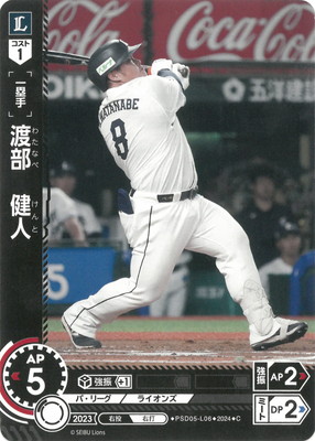 PSD05-L06 ��������� C