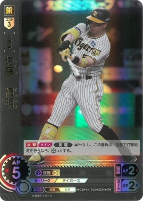�ڥ����ʰ¡�CBP01-T02 ��ƣ������ SR