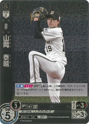 ��RH��PBP02-B03 ����������