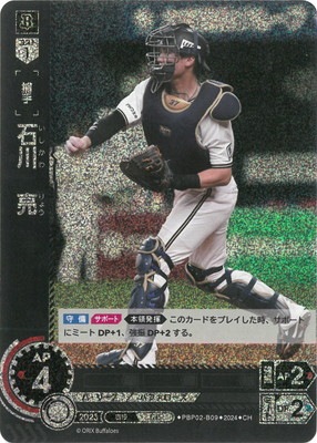 ��CH��PBP02-B09 ���μ