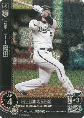 ��CH��PBP02-B10 �ԡݲ���