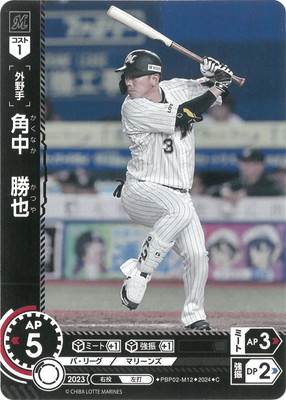 PBP02-M12 ���桡���� C