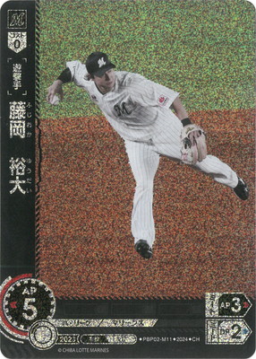 ��CH��PBP02-M11 ƣ����͵��