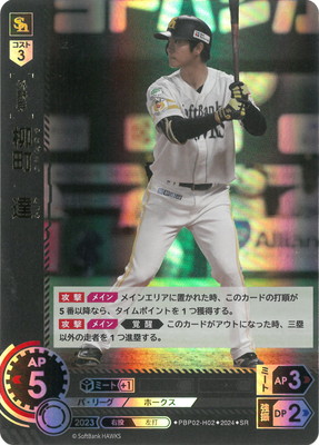 PBP02-H02 ��Į��ã SR