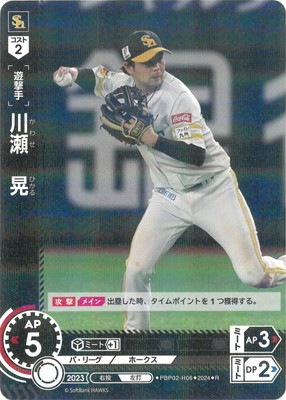 PBP02-H06 �������� R