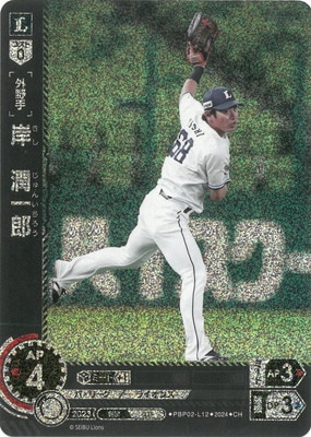 ��CH��PBP02-L12 �ߡ����Ϻ