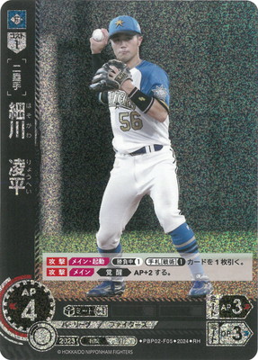 ��RH��PBP02-F05 ���οʿ