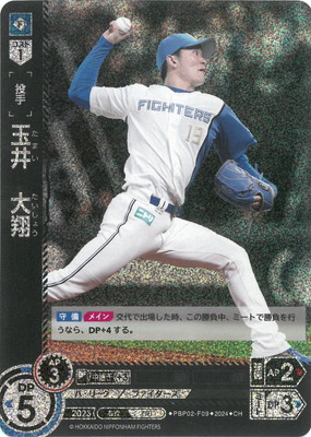 ��CH��PBP02-F09 �̰桡����