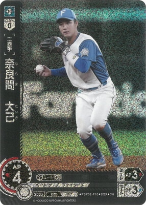 ��CH��PBP02-F10 ���ɴ֡����