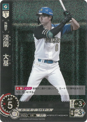 ��CH��PBP02-F11 �ɴ֡����