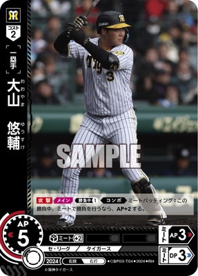 RHCBP03-T04 绳ͪ