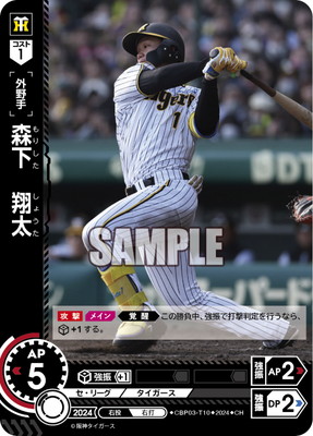 CHCBP03-T10 