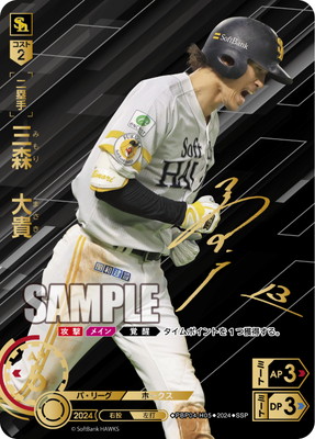 PBP04-H05 ��SSP�ۻ������絮 