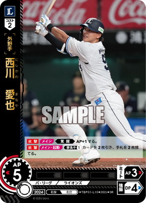 ドリームオーダー,拡張パック,球団ブースター,球団ブースター 埼玉西武