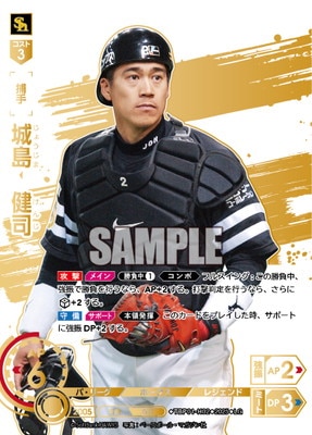 ドリームオーダー,拡張パック,球団ブースター,球団ブースター