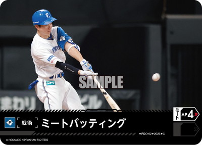 TBP01-FPDO-02 ߡȥХåƥ C