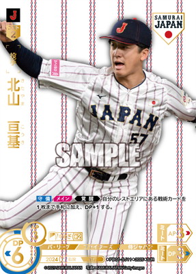 SJRPB01-SJ11 ̻˴طʡۡ