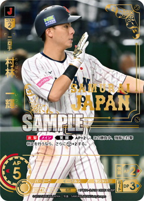 SJSPPB01-SJ19 ¼ӡ쵱