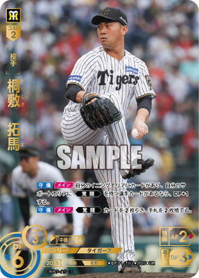 希少‼️ドリームオーダー‼️日本選手権タイムポイント‼️6種‼️ ドリームオーダー | ドリームオーダー専門店フルアヘッド