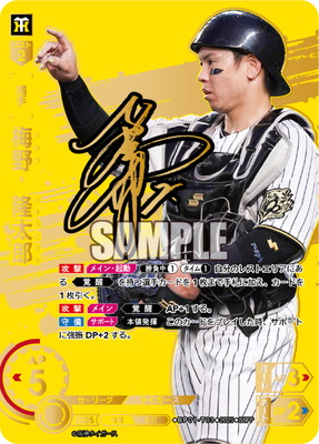 ��SSPP��BP01-T03 ���δ��Ϻ