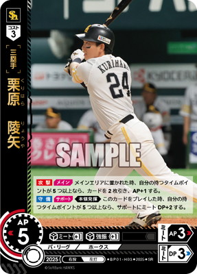 BP01-H03 ���������� SR