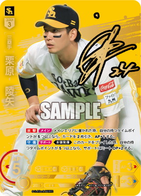 ��SSPP��BP01-H03 ����������