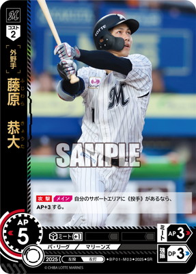 BP01-M03 ƣ�������� SR