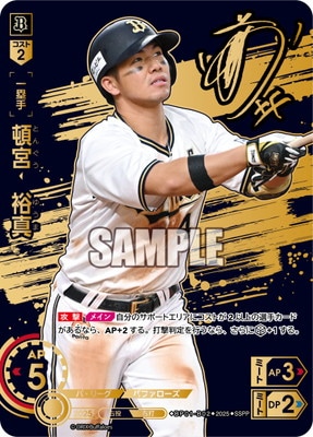 ��SSPP��BP01-B02 �ܵܡ�͵��