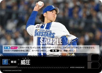 ドリームオーダー,その他,その他カード | ドリームオーダー専門
