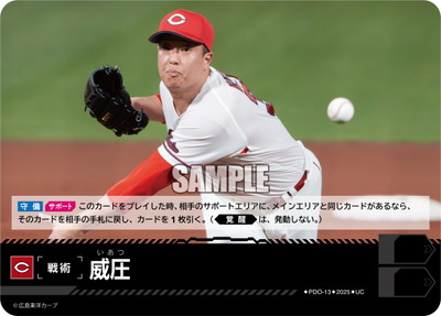 ドリームオーダー,その他,その他カード | ドリームオーダー専門