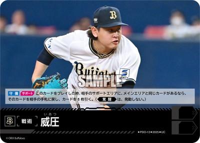 ドリームオーダー,その他,その他カード | ドリームオーダー専門