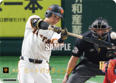 BP01ۡSPPDO-02 ߡȥХåƥ󥰡䥸㥤ġ