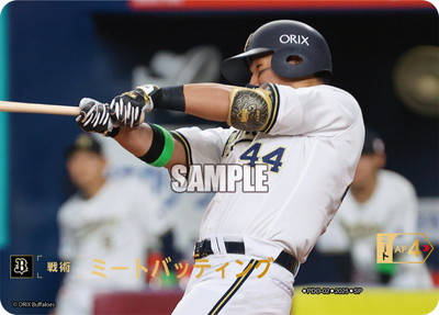 ��BP01�ۡ�SP��PDO-02 �ߡ��ȥХåƥ��󥰡ڥ���å������Хե���������